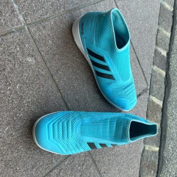 Športni copati Adidas