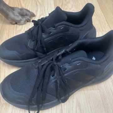 Superge adidas 40