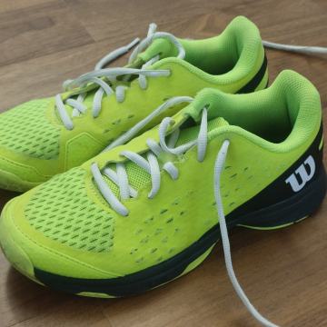 Superge za tenis Wilson št. 36