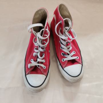 Allstar, vel. 37