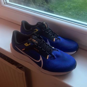 Nike pegasus 39