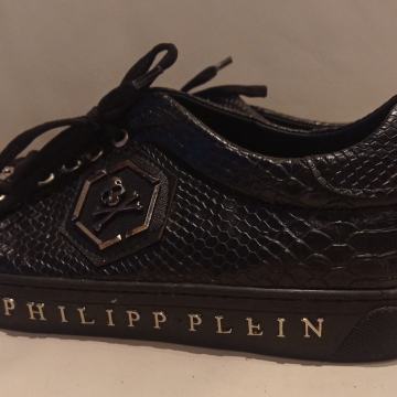 Superge Philipp Plein št. 42, Ljubljana