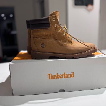Timberland Original 6 inch vodoodporni cevlji st. 39 - vrhunski