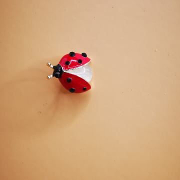 broška pikapolonica