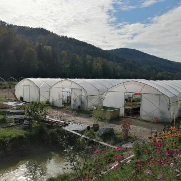 Rastlinjak širine 6m x dolžina po želji +1 vrata + vse ojačitve