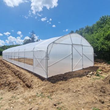 Rastlinjak širine 6m x dolžina po želji +1 vrata + vse ojačitve
