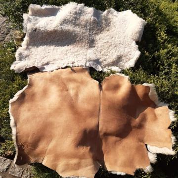 koža ovčka eko na sliki