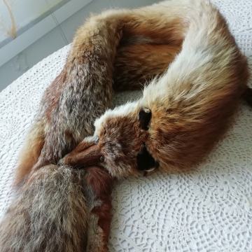 Krznen lisičji ovratnik - pravo krzno