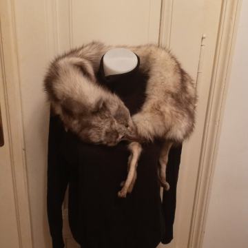 POLARNA LISICA - KRZNO