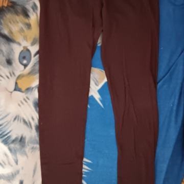 Pajkice Tally weil 40