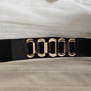 Pas z zlatimi detajli