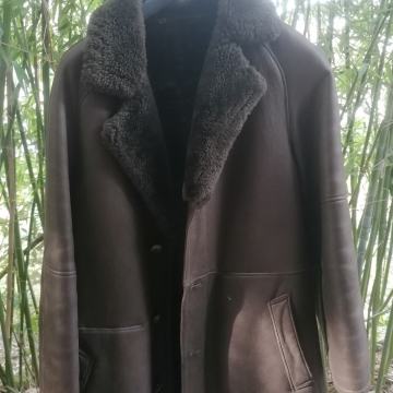 Ovčji moški plašč