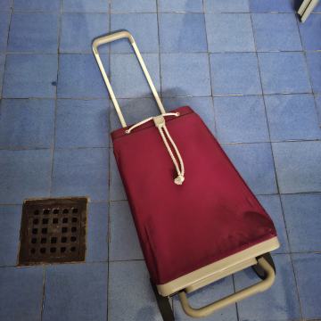 Nakupovalni voziček