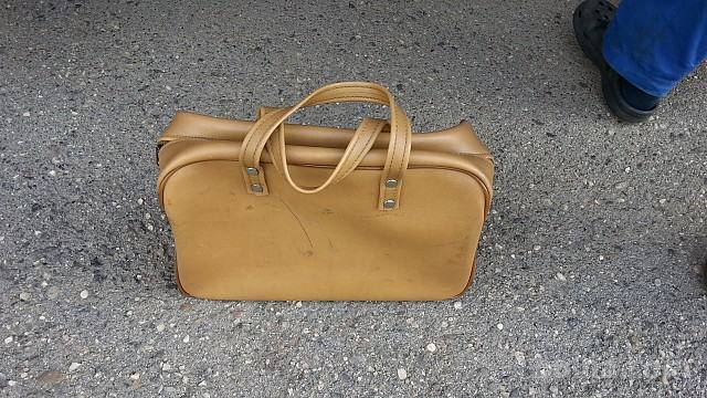 Torbica usnjena starejša