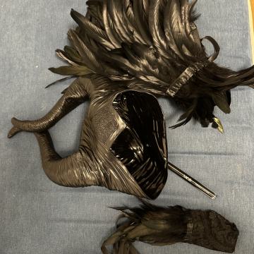 Kostum za Zlohotnico - Manifesto