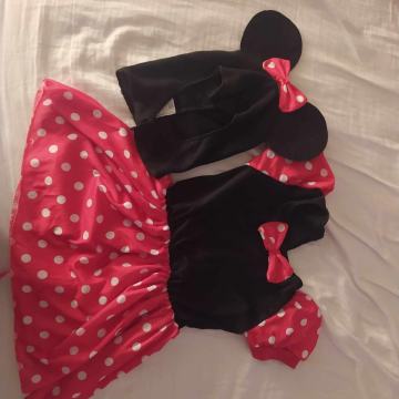 Pustni kostum 2-3 leta