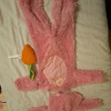 Zajček 6-12 mesecev