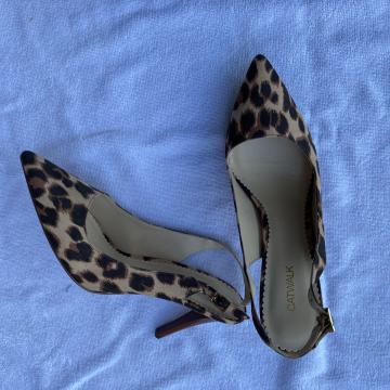 Sandali animalier, št 42, PC 40 €
