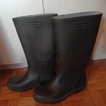 Moški škornji