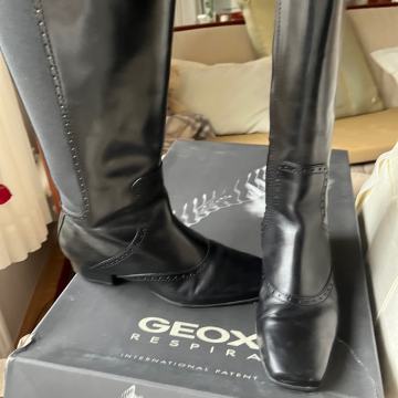 Geox škornji