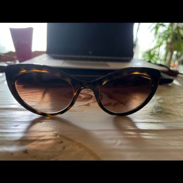 soncna ocala dolce gabbana