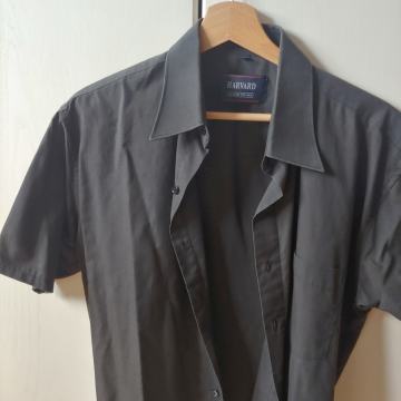 Srajca Harvard, kratek rokav