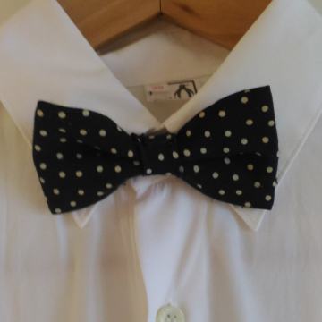 Kot nova fantovska srajca z metuljčkom za simbolično ceno