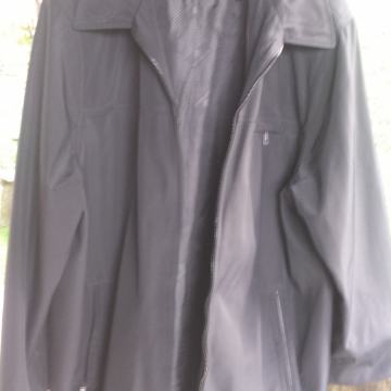 LOSHAN vel 58 KOT NOVO