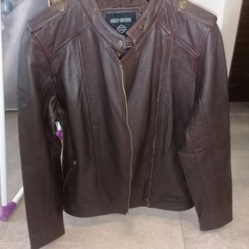 Harley-Davidson ženska jakna L rjava + majica+ superge / vse NOVO