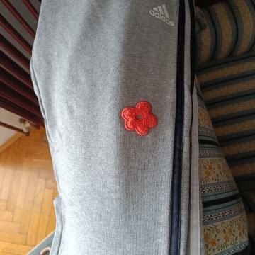 Trenirka Adidas, nova, L