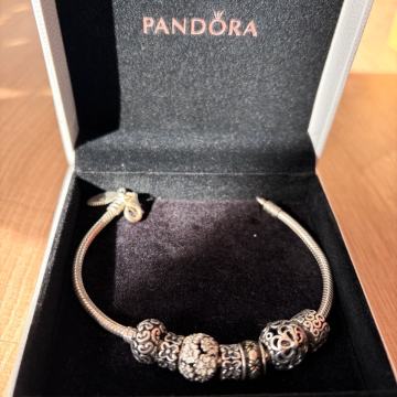 Pandora zapestnica