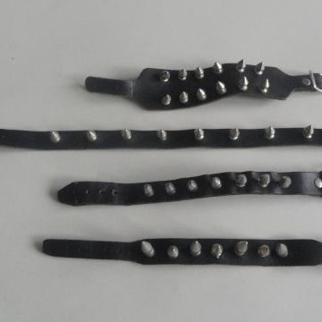 USNJENA ZAPESTNICA Z NETI