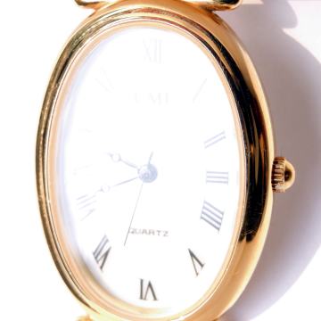 Golden Egg, zlato jajce, poseben retro design, ženska ura zlata 40.5mm