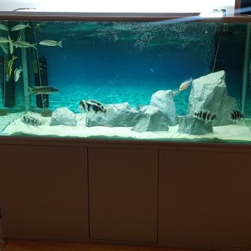 Akvarij 900l