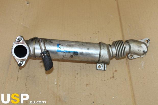 Обманка egr honda