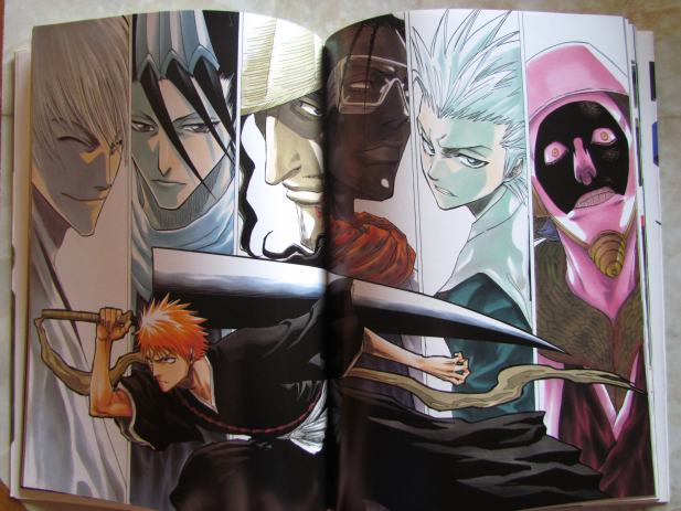All Colour but the Black: The Art of Bleach