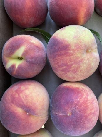 Breskve Rezept - Breskve Recepti