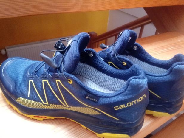 salomon xa yaron gtx