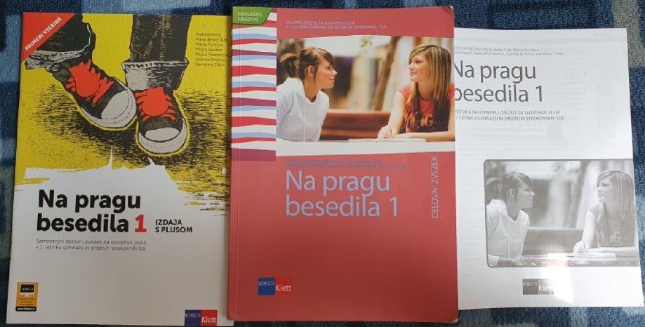 Delovni zvezek za pouk slovenščine in dodatna zbirka nalog
