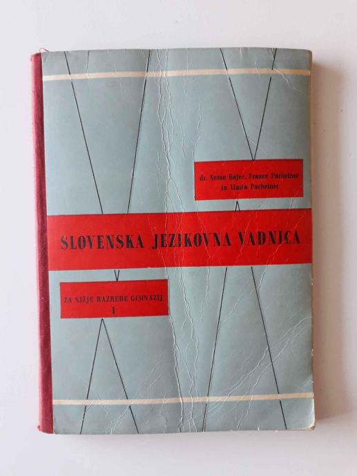 SLOVENSKA JEZIKOVNA VADNICA ZA NIŽJE RAZREDE GIMNAZIJ I., 1956