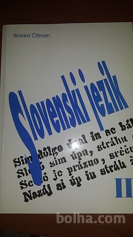 Slovenski jezik 2