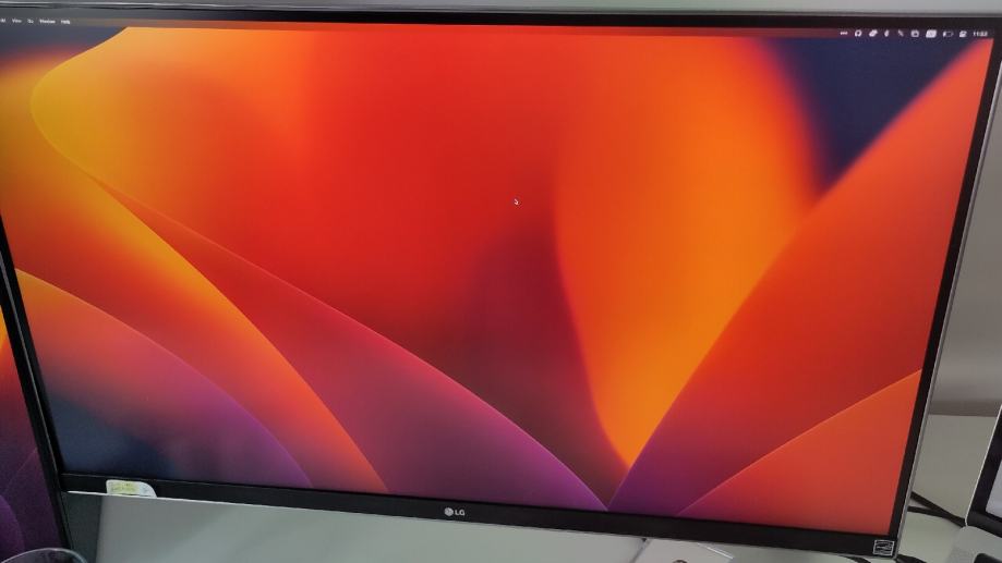 4k LG monitor