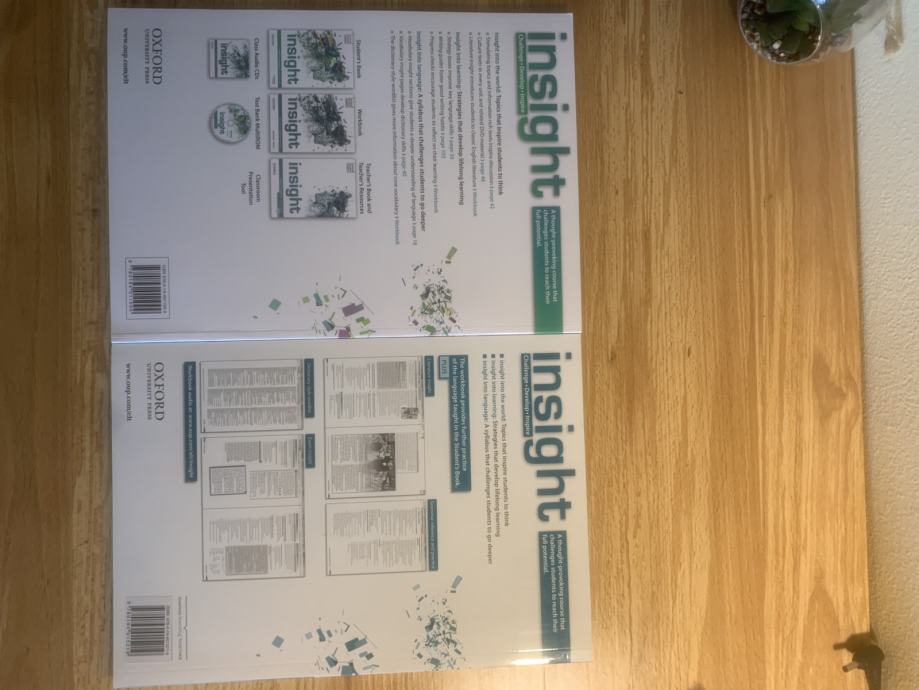 Učbenik in delovni zvezek za angleščino: Insight, Upper-Intermediate