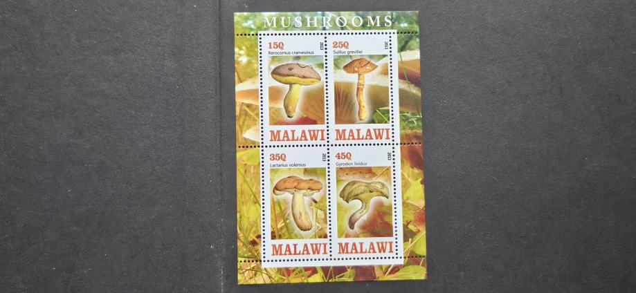 gobe (II) - Malawi 2013 - blok 4 znamk, čist (Rafl01)