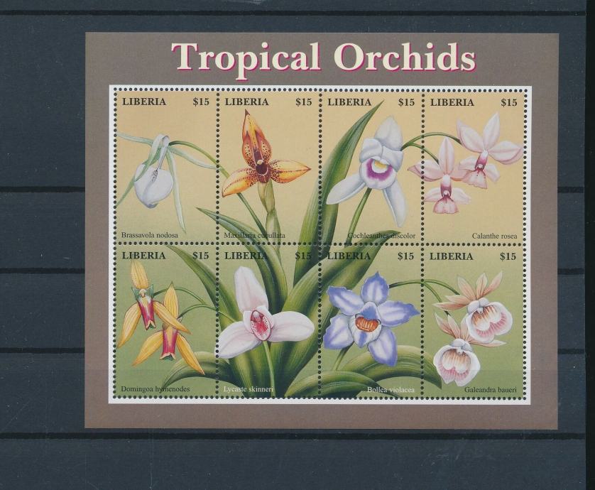 Liberija 2000 flora blok MNH**