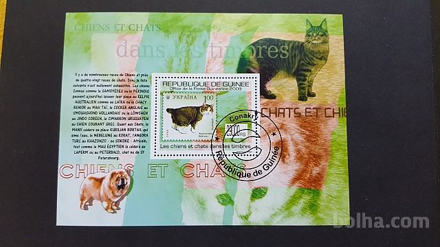 mačke - Gvineja 2009 - Mi B 1769 - blok, žigosan (Rafl01)