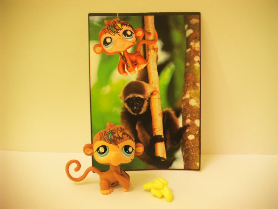 Figurine Littlest Pet Shop LPS #946 Hasbro - Singe Araignée Tattooé - Occasion - Collection