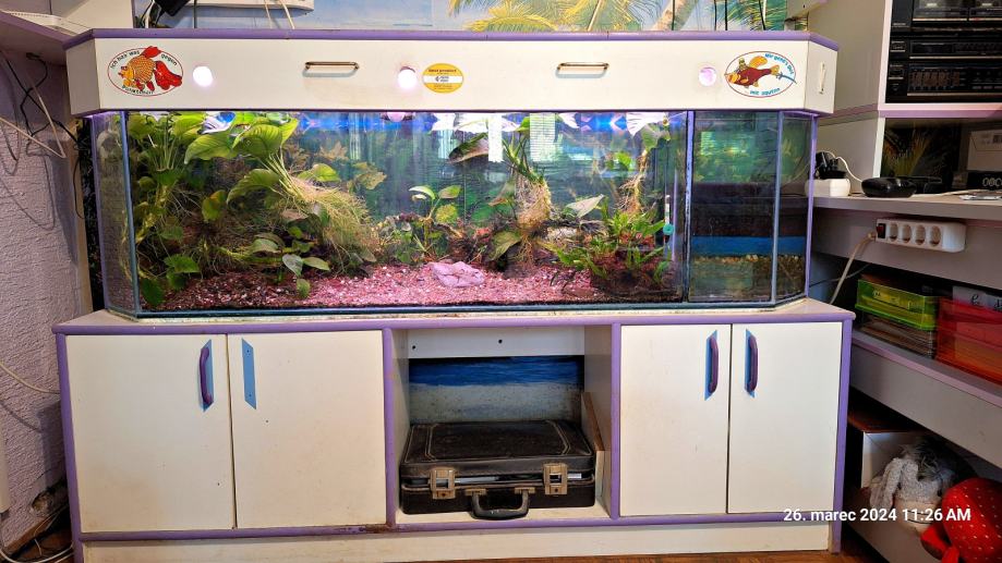 Akvarij, ribice, rastline, črpalka, grelci in omara