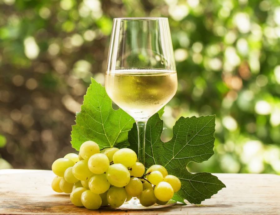 Belo vino - kakovostno (šipon, renski rizling, rumeni muškat -) - 2019