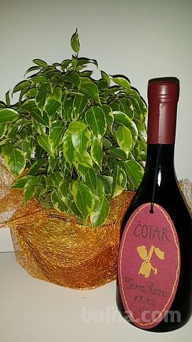 Vrhunsko vino TERRA ROSSA, serija 1, Čotar l.95